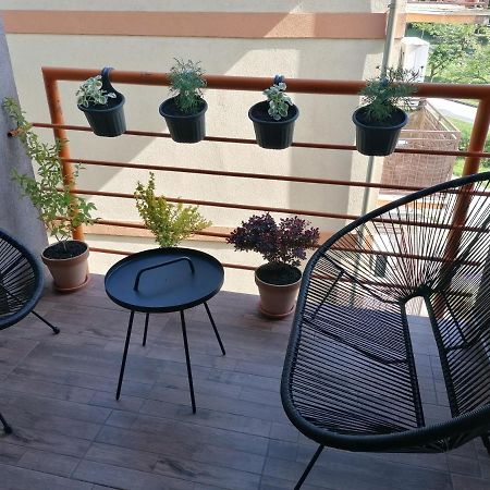 Koko Apartman Vrnjačka Banja Esterno foto