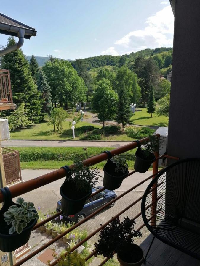 Koko Apartman Vrnjačka Banja Esterno foto