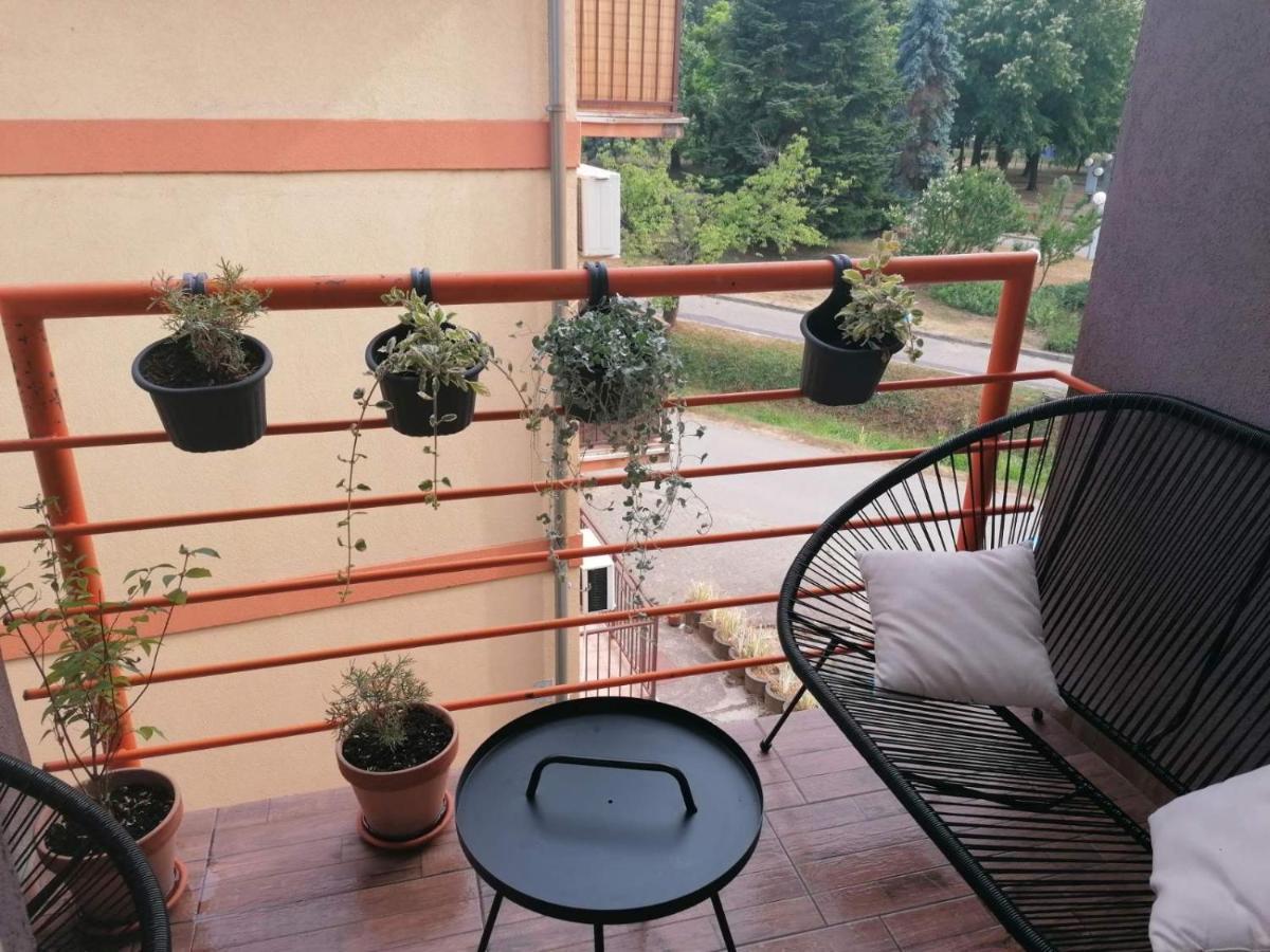 Koko Apartman Vrnjačka Banja Esterno foto