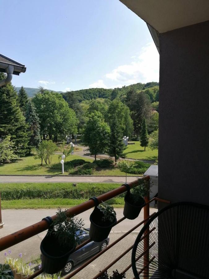 Koko Apartman Vrnjačka Banja Esterno foto